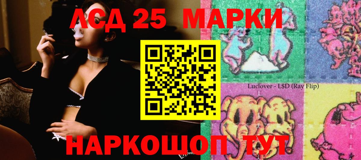 Конопля Мурино
